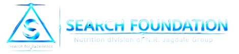 Search Foundation Website Logo