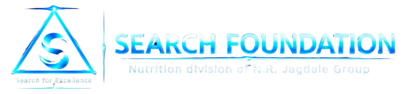 Search Foundation Website Logo